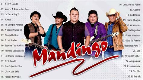 mandingos exitos romanticos|grupo mandingo mix mp3.